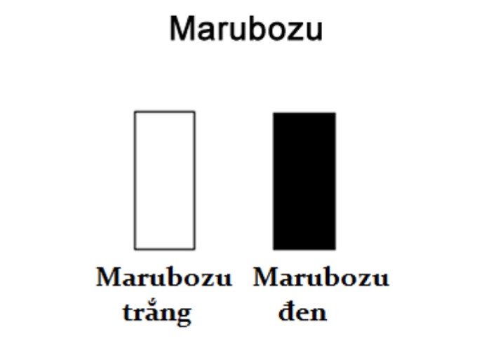 Mẫu hình nến Marubozu