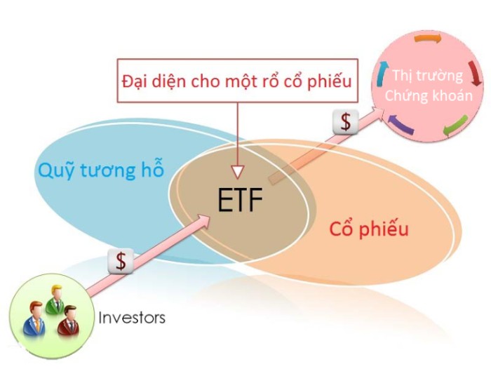 Đầu tư khi là một sinh viên – cần chú ý điều gì?