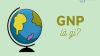 Chỉ số GNP là gì? Sự khác nhau giữa GNP và GDP