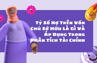 Tỷ Số Nợ Trên Vốn Chủ Sở Hữu Là Gì Và Áp Dụng Trong Phân Tích Tài Chính