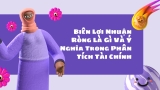 Biên Lợi Nhuận Ròng Là Gì Và Ý Nghĩa Trong Phân Tích Tài Chính