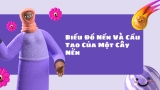 Biểu Đồ Nến Và Cấu Tạo Của Một Cây Nến