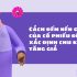 Chi phí đón em bé