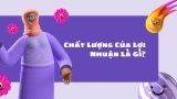 Chất Lượng Của Lợi Nhuận Là Gì?