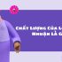 Các Nhóm Chỉ Số Tài Chính Quan Trọng Trong Phân Tích Cơ Bản