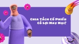 Chia Tách Cổ Phiếu Có Lợi Hay Hại?