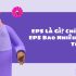 Vòng Đời Kinh Doanh Của Doanh Nghiệp Là Gì?