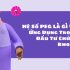 Đầu Tư Giá Trị: Cách Đầu Tư Như Warren Buffett