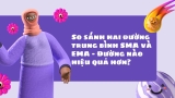 So Sánh Hai Đường Trung Bình SMA Và EMA – Đường Nào Hiệu Quả Hơn?