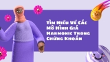 Tìm Hiểu Về Các Mô Hình Giá Harmonic Trong Chứng Khoán