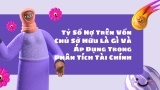 Tỷ Số Nợ Trên Vốn Chủ Sở Hữu Là Gì Và Áp Dụng Trong Phân Tích Tài Chính