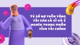Tỷ Số Nợ Trên Tổng Tài Sản Là Gì Và Ý Nghĩa Trong Phân Tích Tài Chính