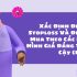 4 Mối Lo Khi Nghỉ Hưu và Cách Xử Lý Hiệu Quả