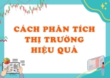 Cách Phân Tích Thị Trường Hiệu Quả
