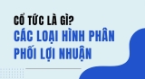 Cổ tức là gì? Các Loại Hình Phân Phối Lợi Nhuận