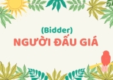 Người đấu giá (Bidder): Định nghĩa và Đặc điểm
