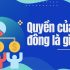 Nhà Đầu Tư Là Gì? Tìm Hiểu Chi Tiết Đặc Điểm, Chiến Lược & Các Kênh Đầu Tư Hiệu Quả
