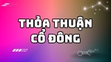 Thỏa Thuận Cổ Đông Trong Doanh Nghiệp Là Gì?